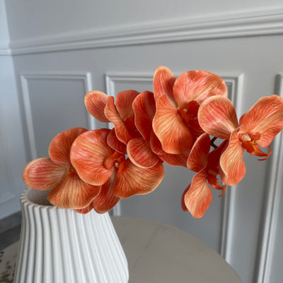 Orange real touch vein orchid - Luscious Homewares