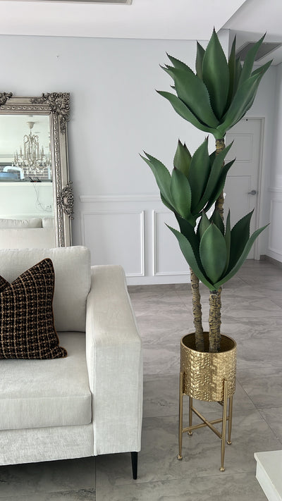 Agave succulent green artificial plant tree - Luscious Homewares