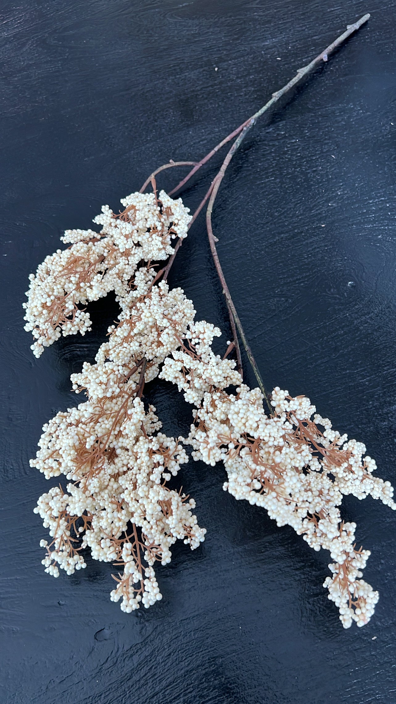 Artificial Dried bubble stem, available in 2 colours - Luscious Homewares