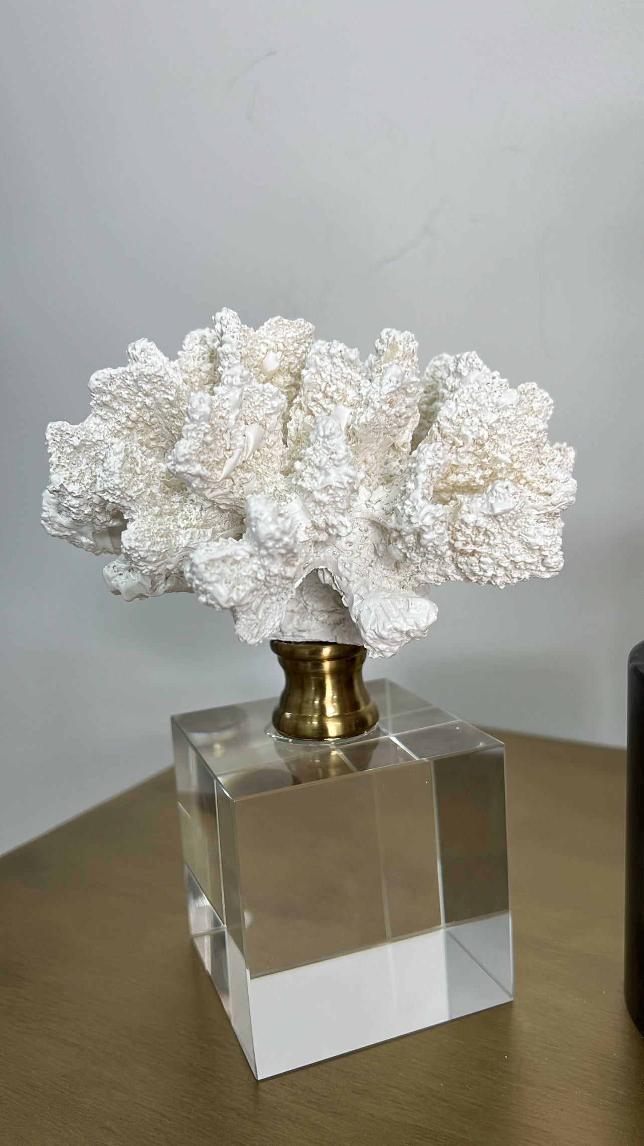 coral sculpture on crystal glass stand