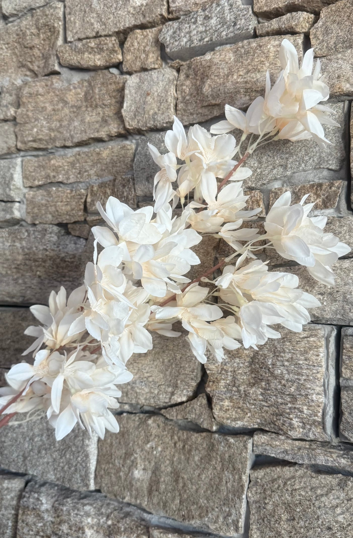 Cream Petal Cherry blossom branch 120 cm stem
