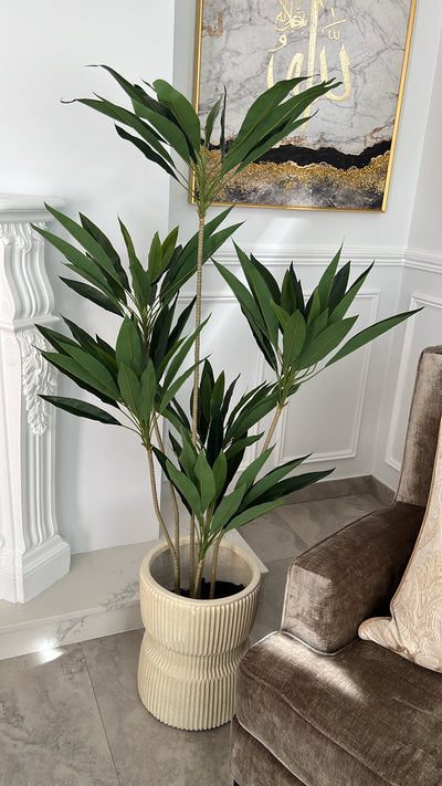 Brazil cycas plant / ceramic pot - Luscious Homewares