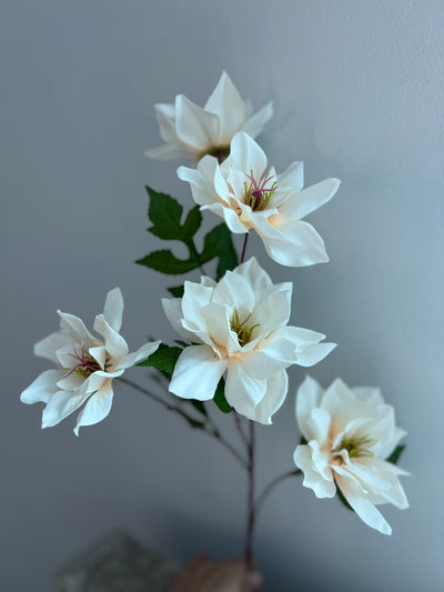 Magnolia ivory 5 head flower stem - Luscious Homewares