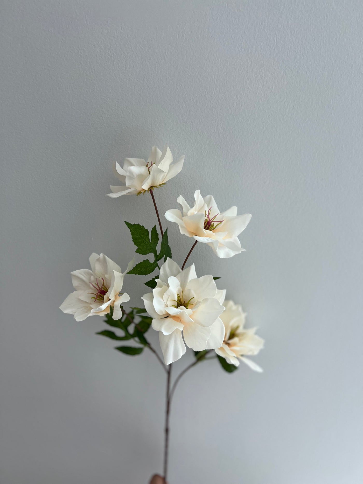 Magnolia ivory 5 head flower stem - Luscious Homewares