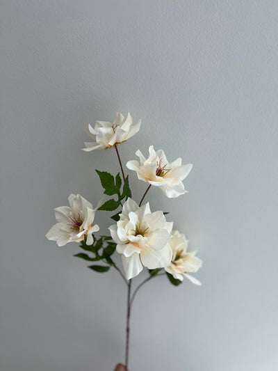 Magnolia ivory 5 head flower stem - Luscious Homewares