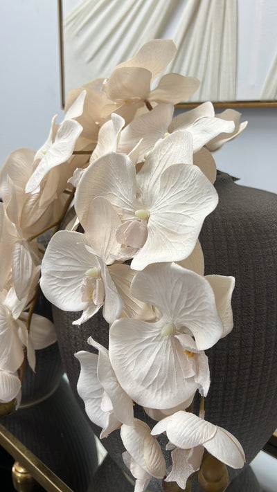 Soft nude large orchid flower stem - Luscious Homewares