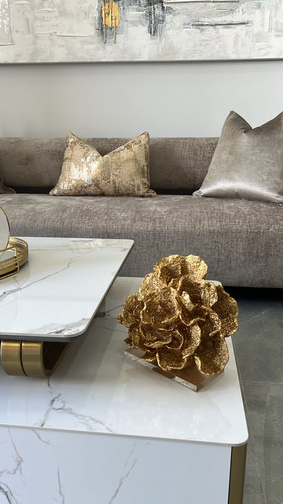 Aureus gold cushion