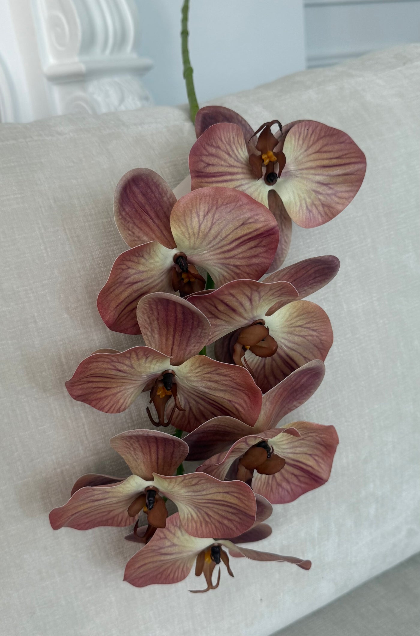 Burgundy brown real touch vein orchid - Luscious Homewares