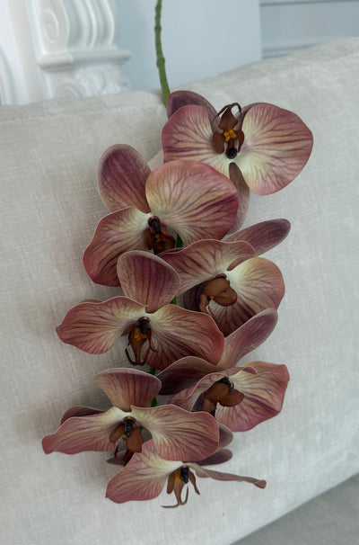 Burgundy brown real touch vein orchid - Luscious Homewares