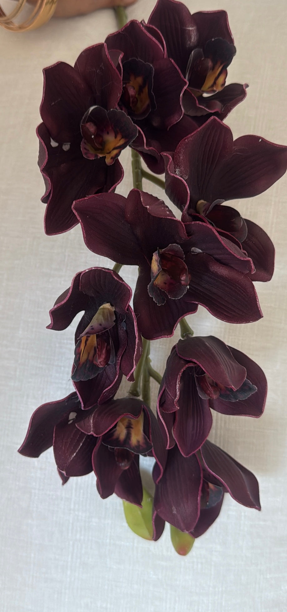 Burgundy Cymbidium orchid artificial stem - Luscious Homewares