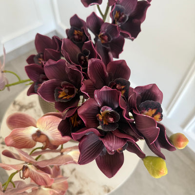 Burgundy Cymbidium orchid artificial stem - Luscious Homewares