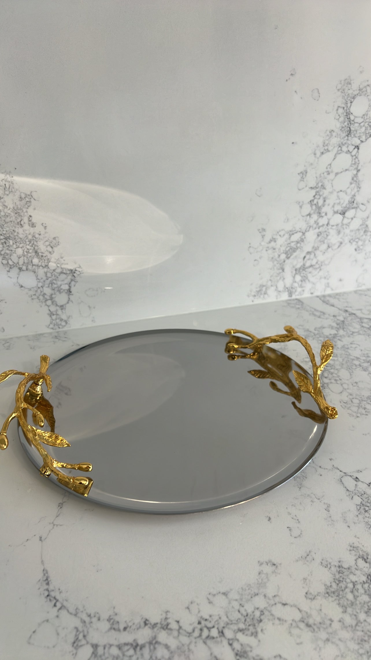 satinless steel brass leaf handle tray