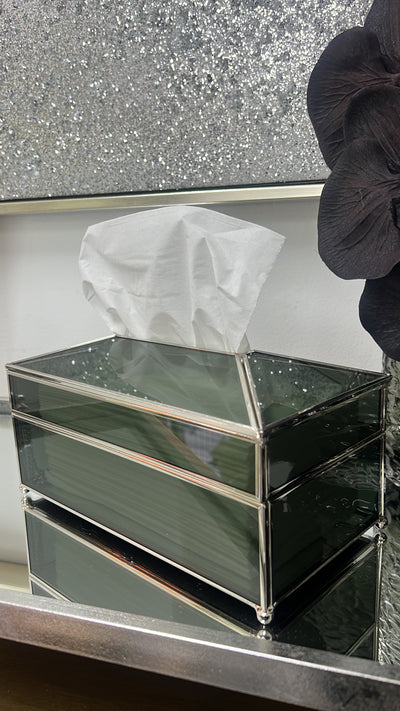 Mercury smoked silver tissue box