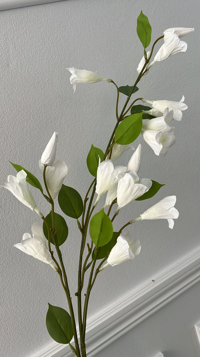 Lily white flower stem - Luscious Homewares