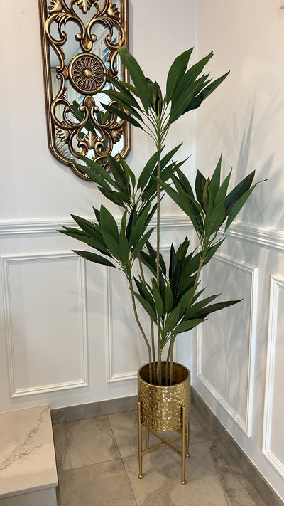 Brazil cycas plant / gold pot - Luscious Homewares