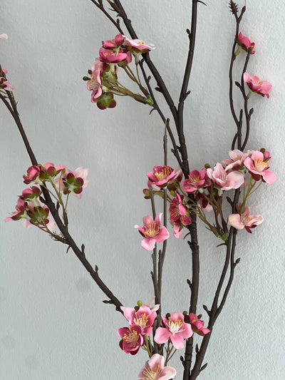 Pink Cherry blossom branch 120 cm stem - Luscious Homewares