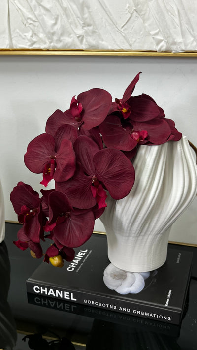 large burgundy orchid flower stem