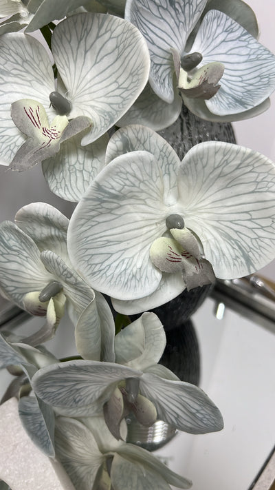 Grey sage real touch orchid