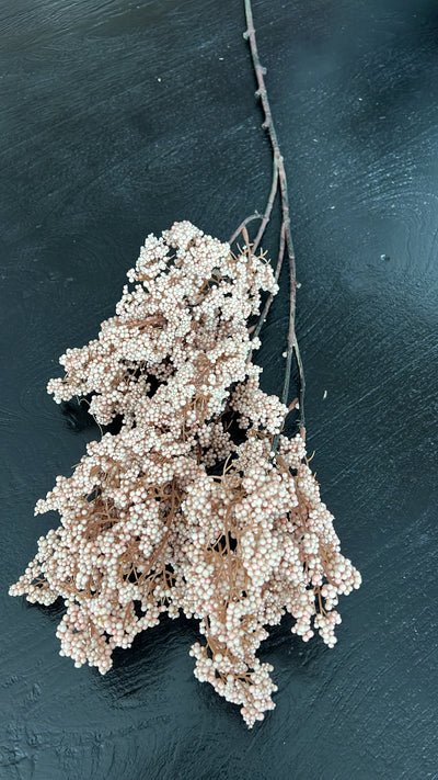 Artificial Dried bubble stem, available in 2 colours - Luscious Homewares