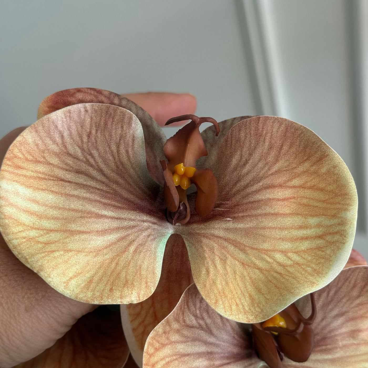 Dusty coffee real touch vein orchid - Luscious Homewares