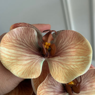Dusty coffee real touch vein orchid - Luscious Homewares