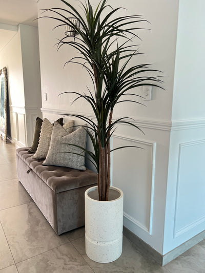 Yukka Artificial plant / pebble pot - Luscious Homewares