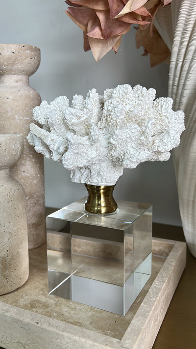 coral sculpture on crystal glass stand