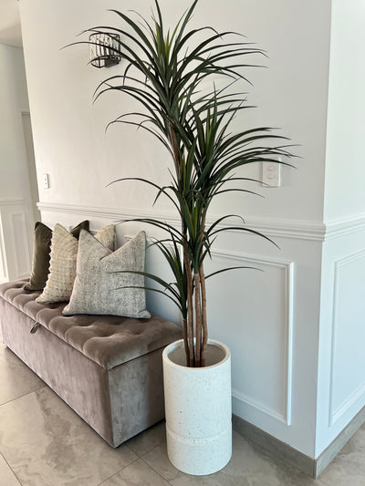 Yukka Artificial plant / pebble pot - Luscious Homewares