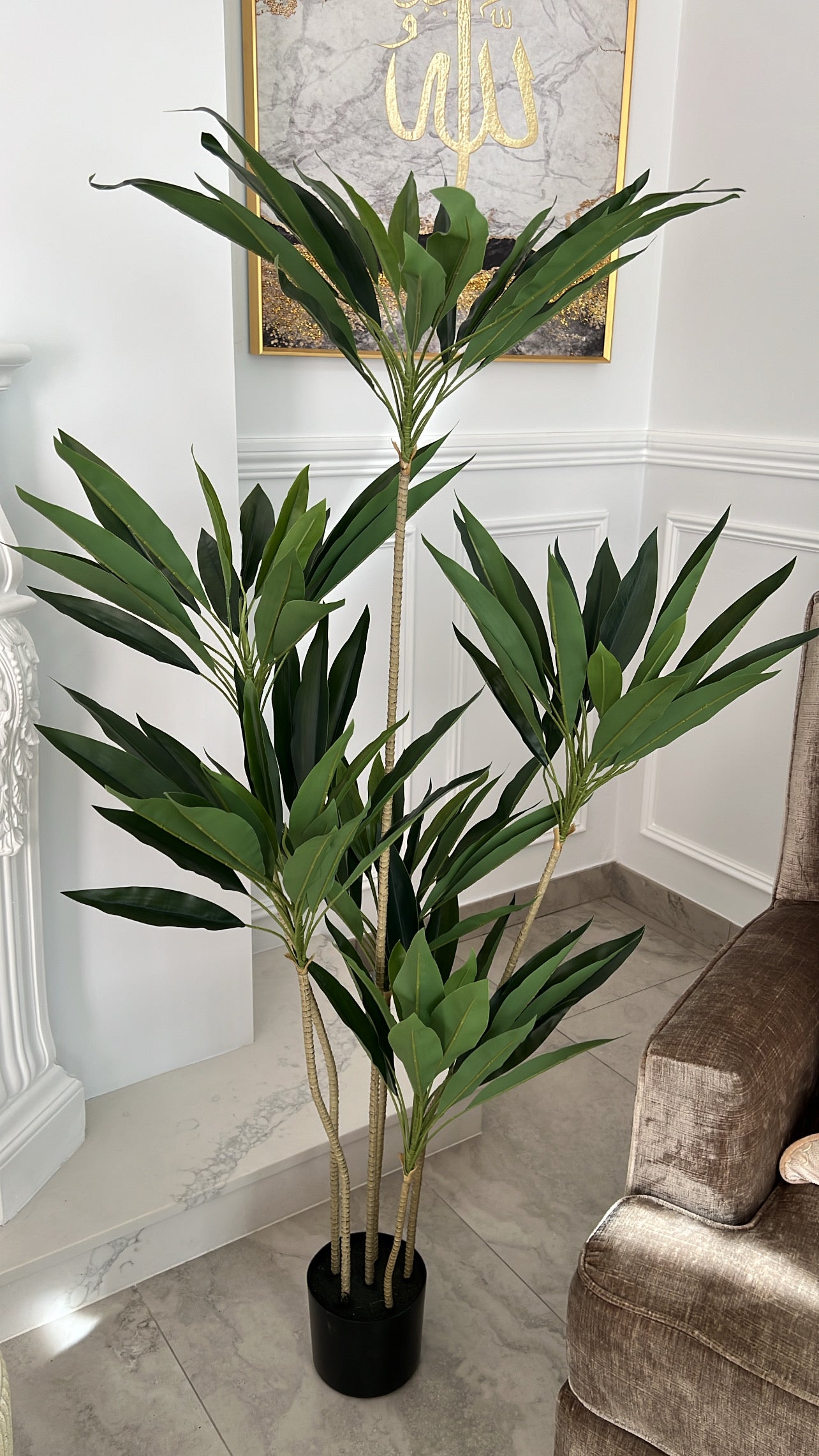Brazil cycas plant / ceramic pot - Luscious Homewares
