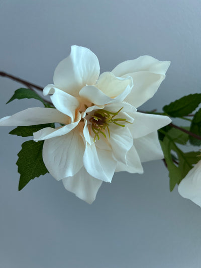 Magnolia ivory 5 head flower stem - Luscious Homewares
