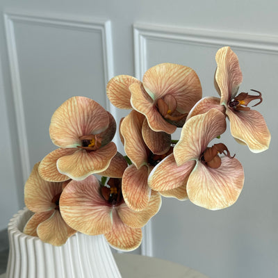 Dusty coffee real touch vein orchid - Luscious Homewares