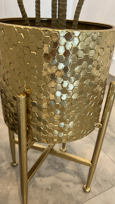Brazil cycas plant / gold pot - Luscious Homewares