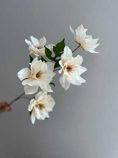 Magnolia ivory 5 head flower stem - Luscious Homewares