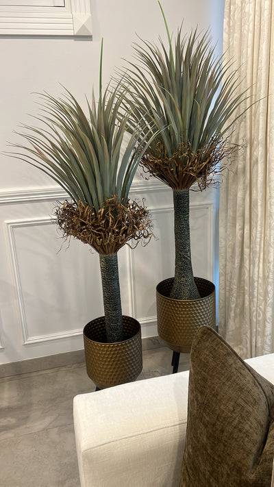Large Dragon palm Artificial plant / gold metal pot - Luscious Homewares