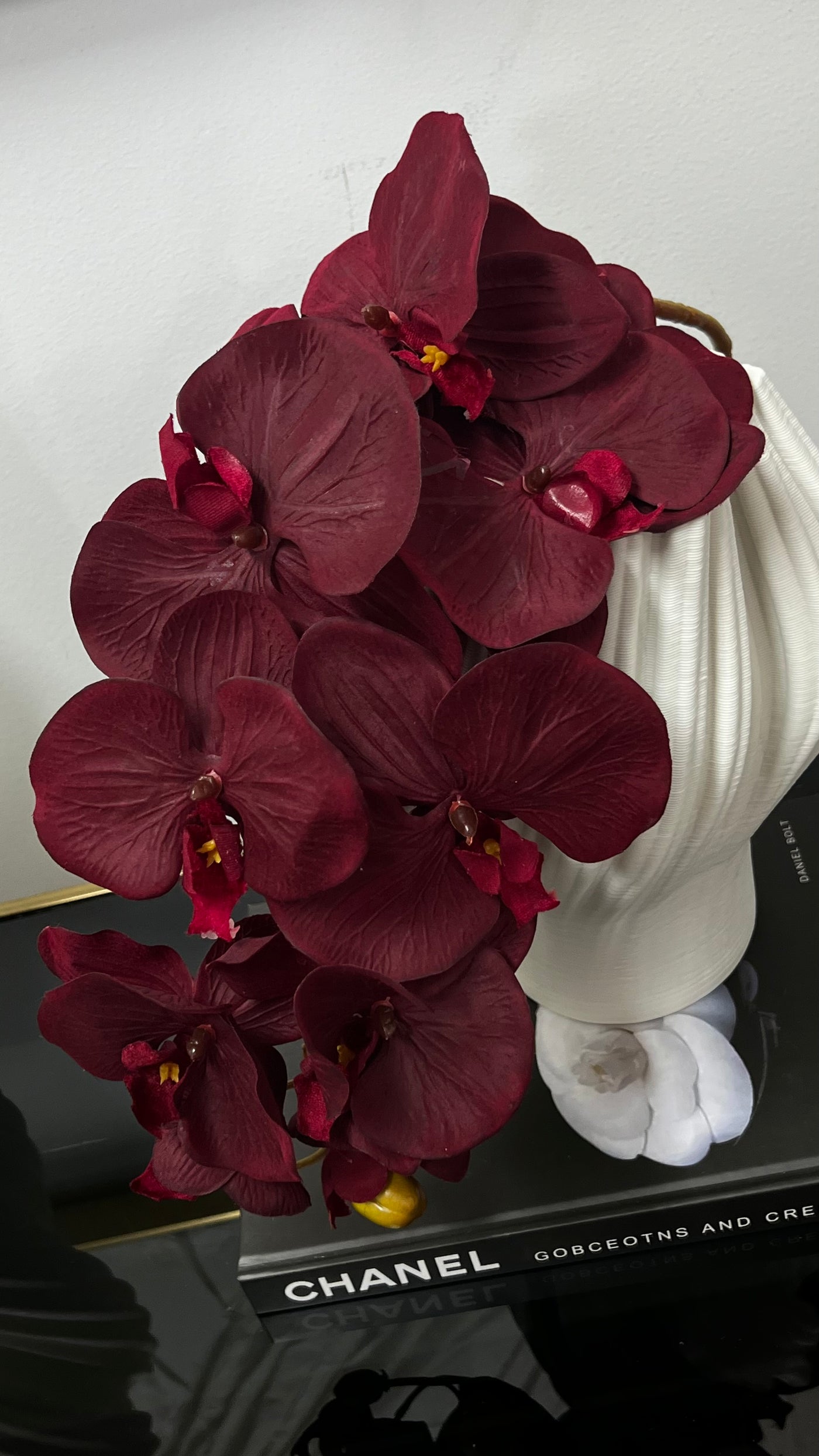 large burgundy orchid flower stem