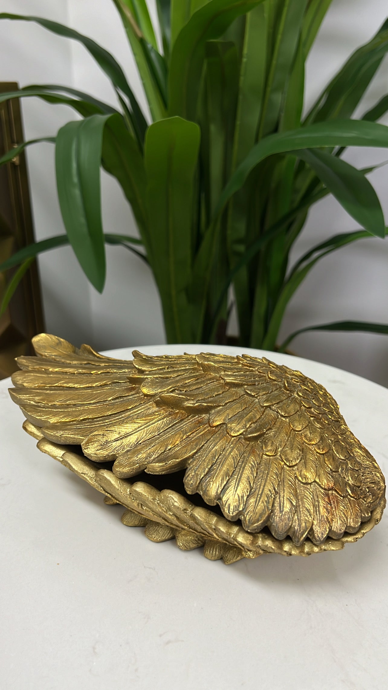 Angel gold wing box