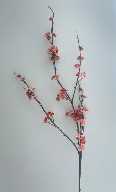 Pink Cherry blossom branch 120 cm stem - Luscious Homewares
