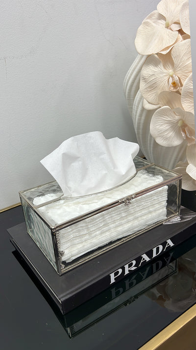 Naya silver tissue box