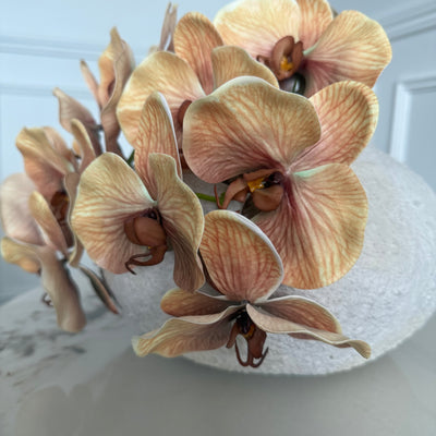 Dusty coffee real touch vein orchid - Luscious Homewares