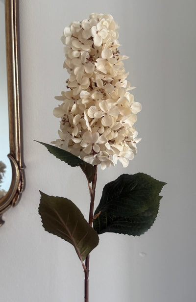 Cream Dried faux Hydrangea artificial stem - Luscious Homewares