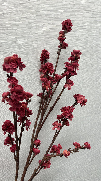 Plum blossom stem - Luscious Homewares