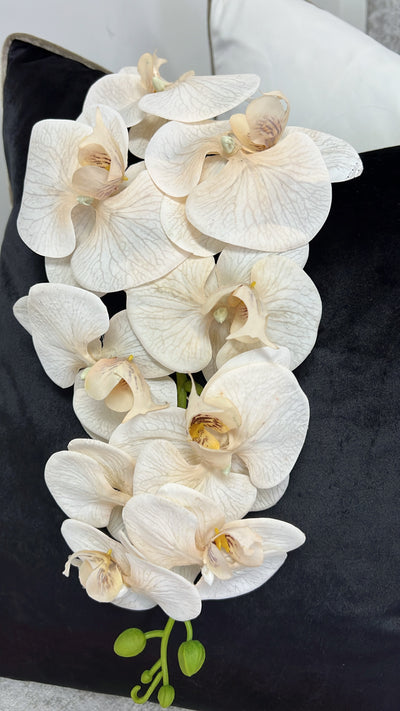 Sand beige large orchid flower - Luscious Homewares