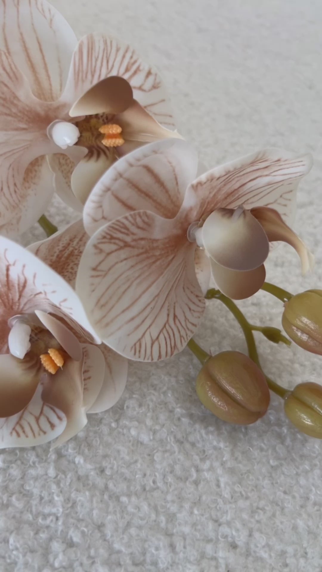 Sandy real touch orchid